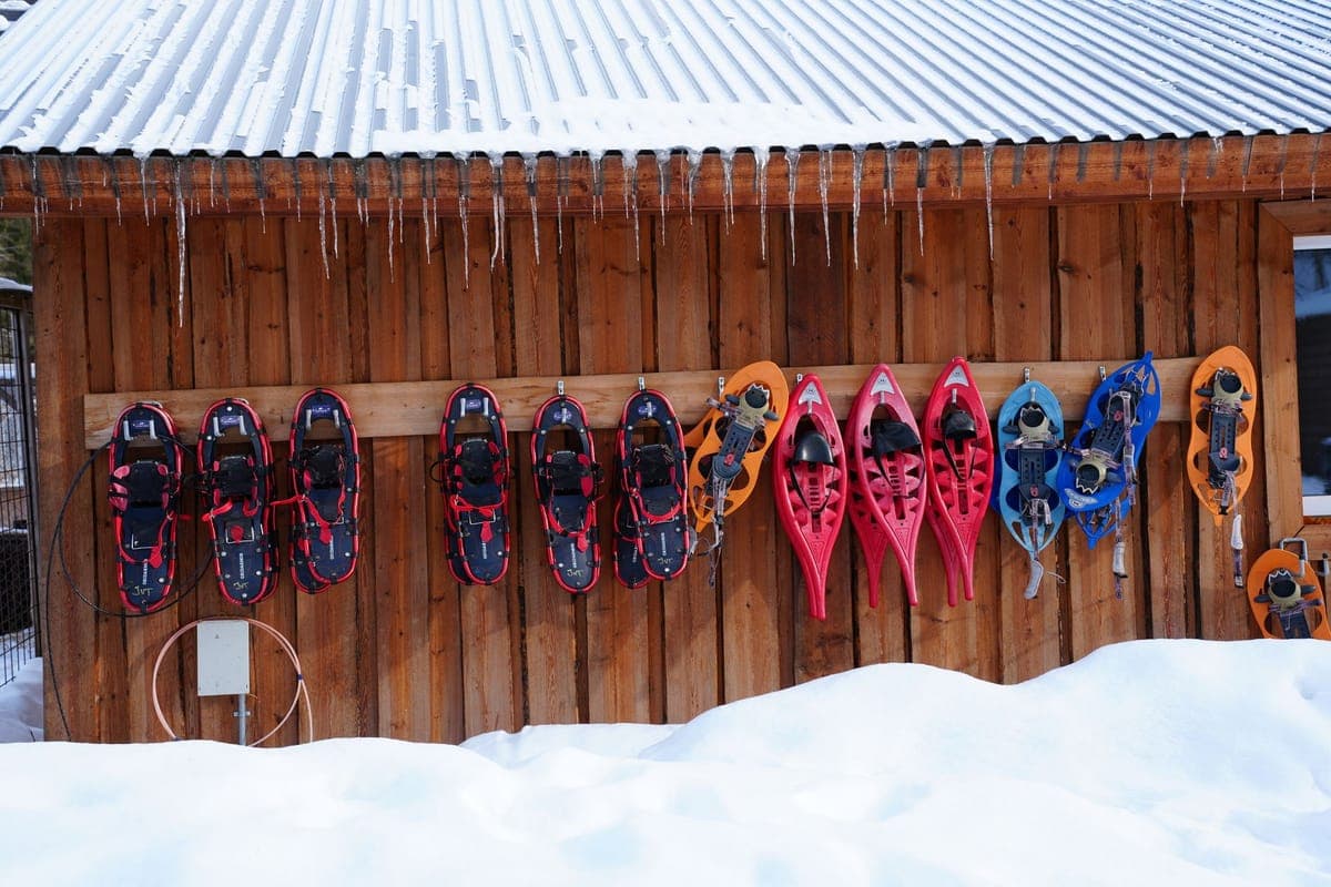 Colorful snowshoes and winter equipment hanging on a wooden wall