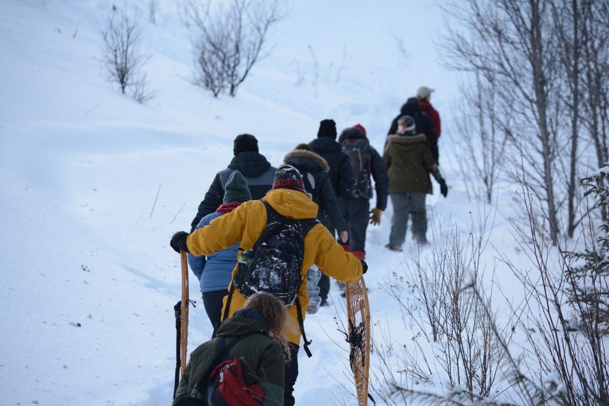 A group of people snowshoeing uphill in a snowy winter landscape
