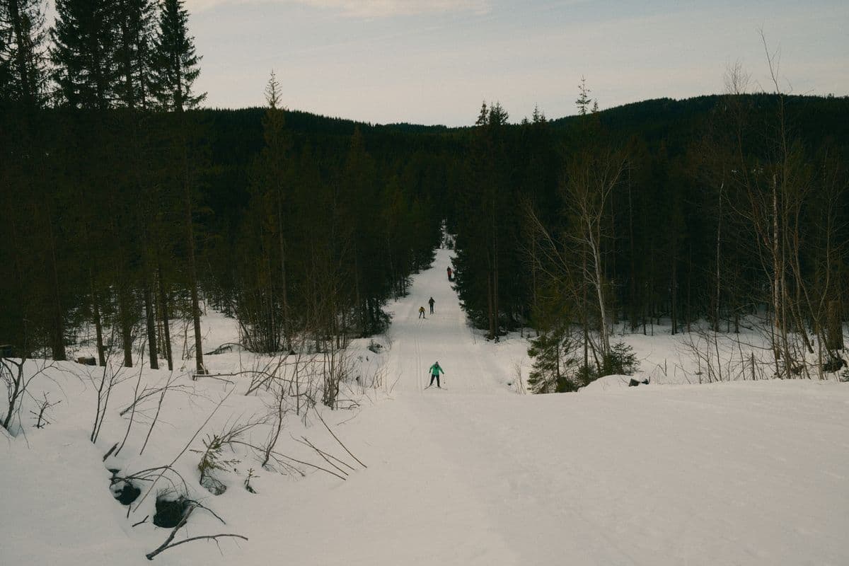 Cross-country skiers on a groomed trail through a snowy forest