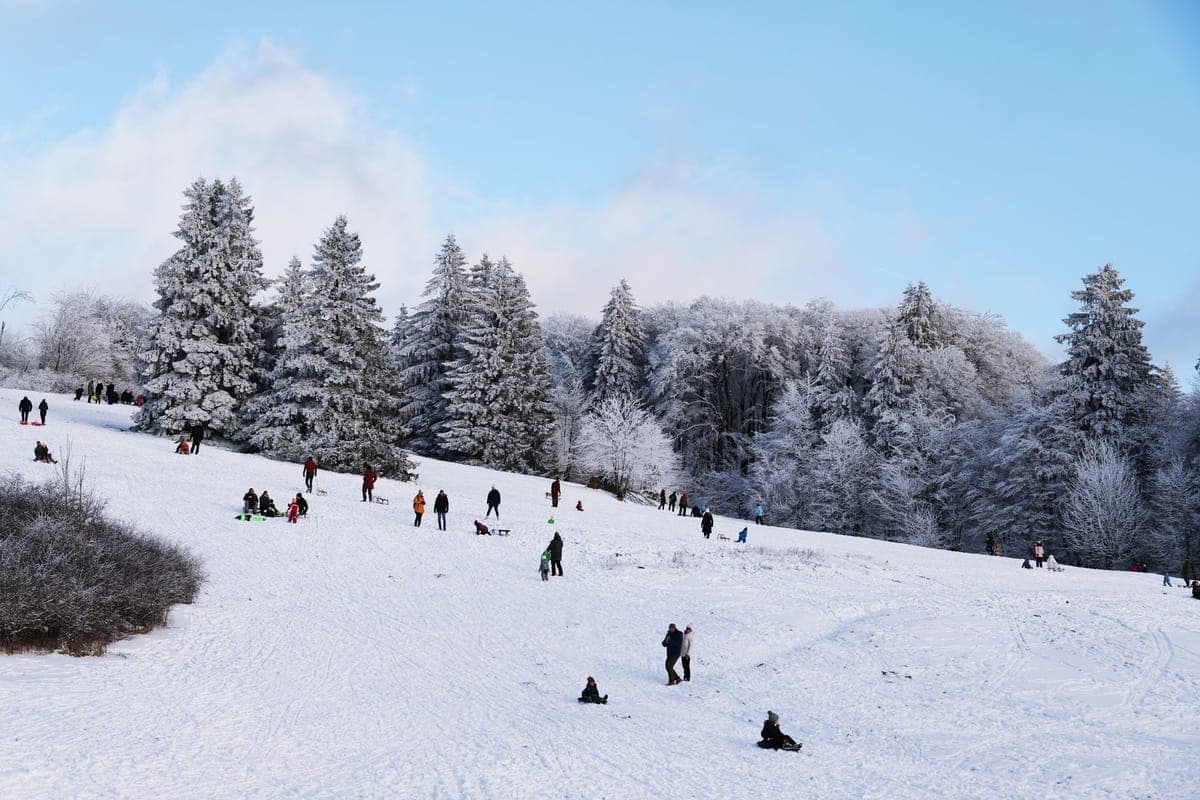 People sledding down a snowy slope surrounded by frosted trees