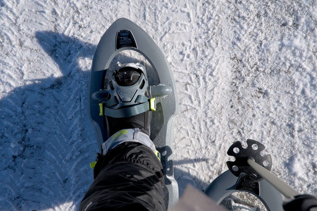 Close-up of a snowshoe resting on fresh snow-covered ground