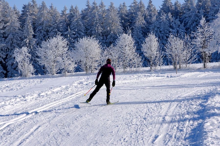 A cross-country skier gliding along a trail through a snowy forest