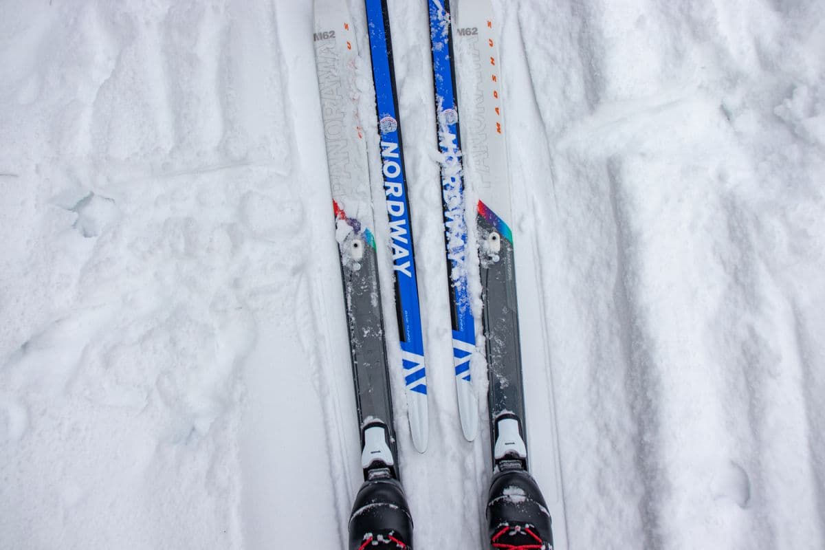 Overhead view of skis laid out on a snowy trail in winter