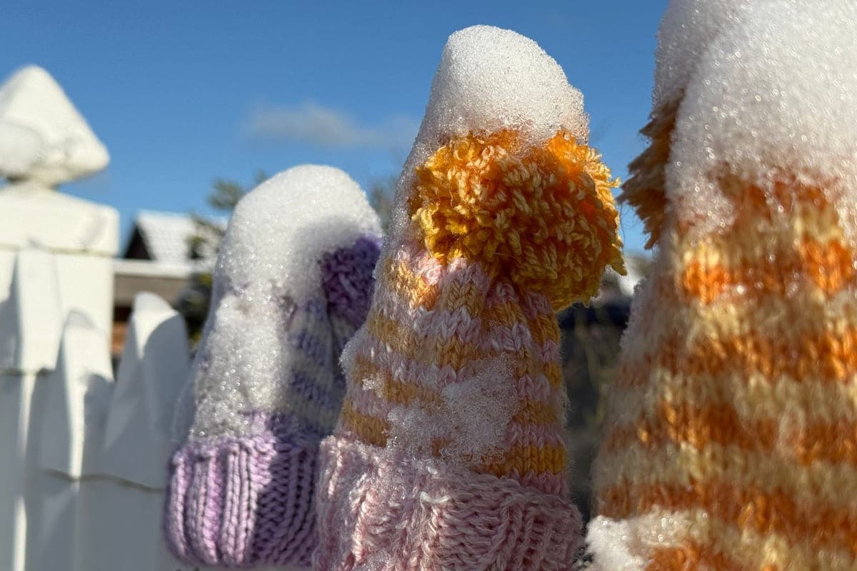 Colorful knitted hats covered in snow on a white picket fence