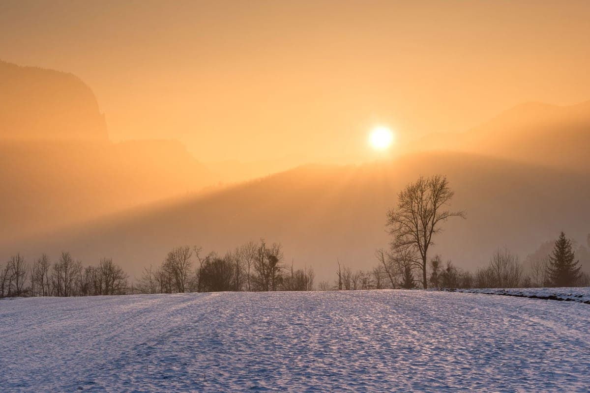 Winter sunlight casting across a bright snow-covered field