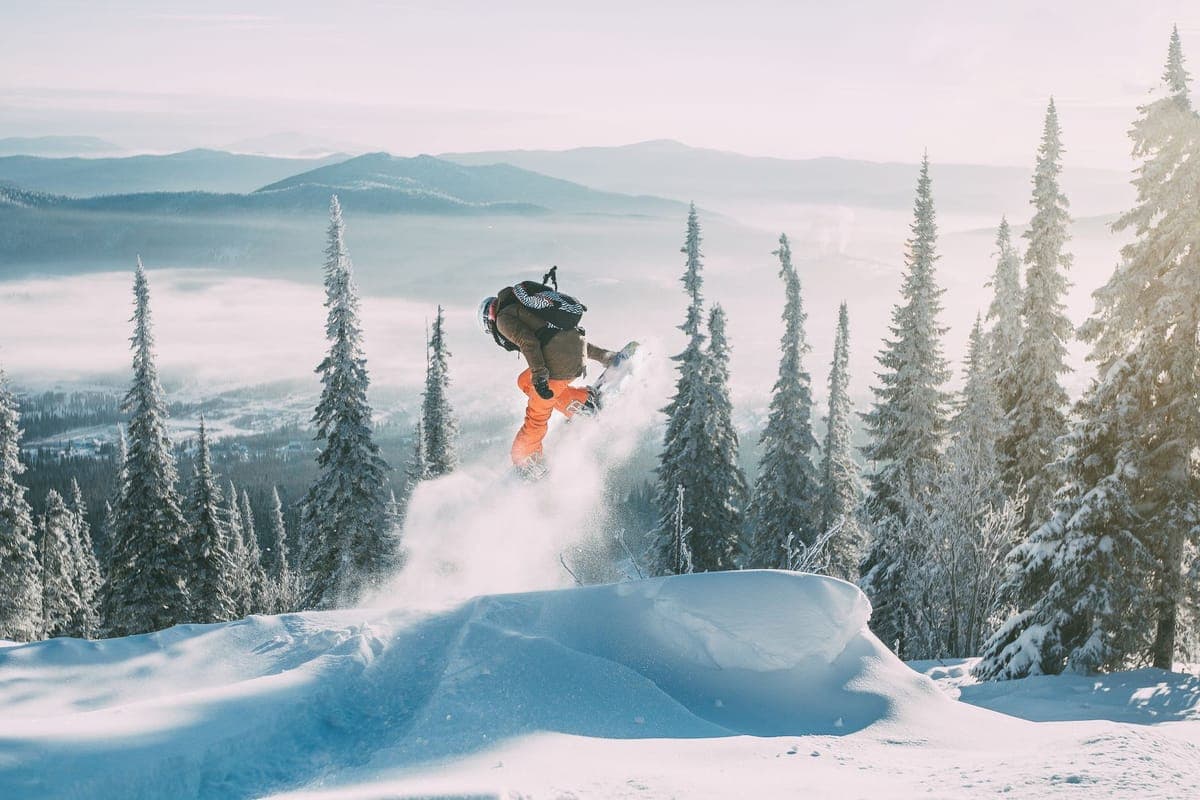 A snowboarder mid-air among snowy trees and mountains in winter