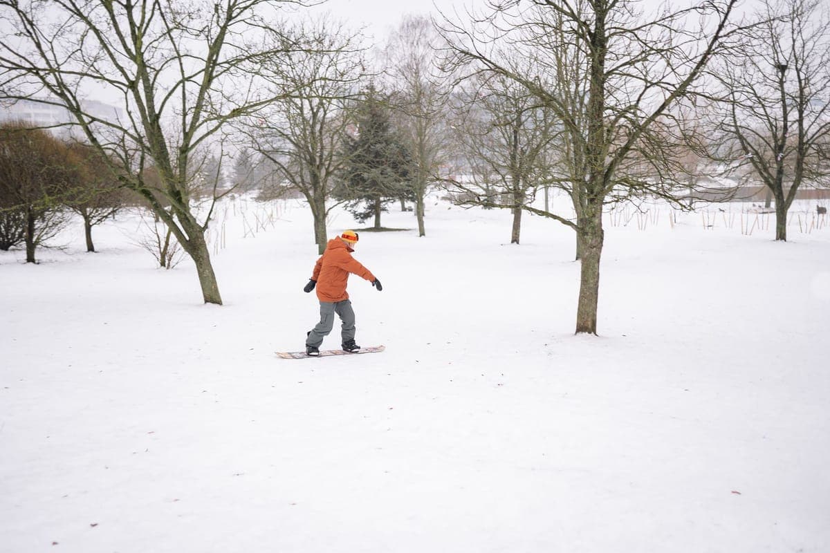 A person in winter clothing snowboarding among bare trees in deep snow